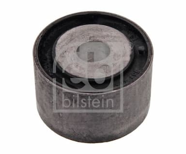 Piekare, Diferenciālis FEBI BILSTEIN 10843 1