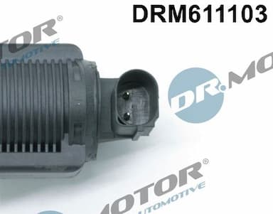 Izpl. gāzu recirkulācijas vārsts Dr.Motor Automotive DRM611103 3