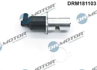 Izpl. gāzu recirkulācijas vārsts Dr.Motor Automotive DRM181103 1