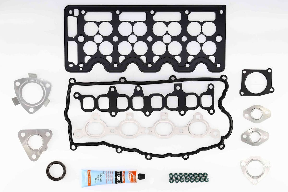 Blīvju komplekts, Motora bloka galva CORTECO 418492P 1