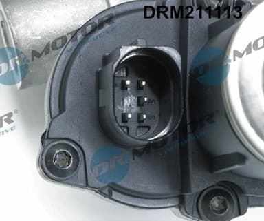 Izpl. gāzu recirkulācijas vārsts Dr.Motor Automotive DRM211113 2