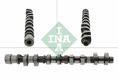 Sadales vārpsta Schaeffler INA 428 0152 10 1