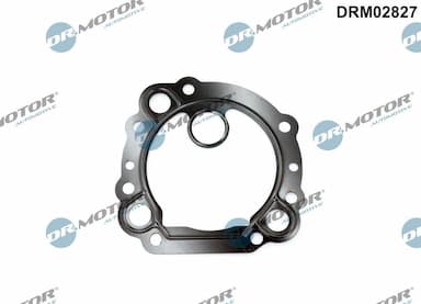 Blīve, Izplūdes gāzu recirkulācijas vārsts Dr.Motor Automotive DRM02827 1