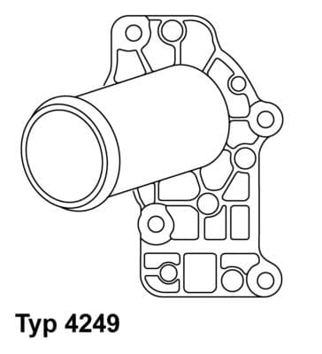 Termostats, Dzesēšanas šķidrums BorgWarner (Wahler) 4249.83D 1