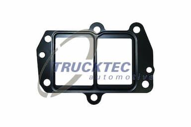 Blīve, Izplūdes gāzu recirkulācijas vārsts TRUCKTEC AUTOMOTIVE 02.16.079 1