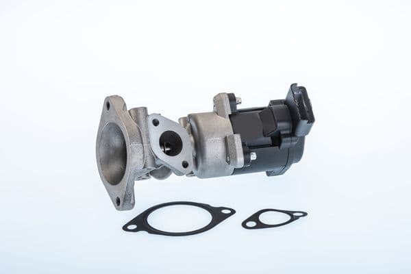 Izpl. gāzu recirkulācijas vārsts BorgWarner (Wahler) 710976R 1