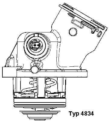 Termostats, Dzesēšanas šķidrums BorgWarner (Wahler) 4834.100D 2