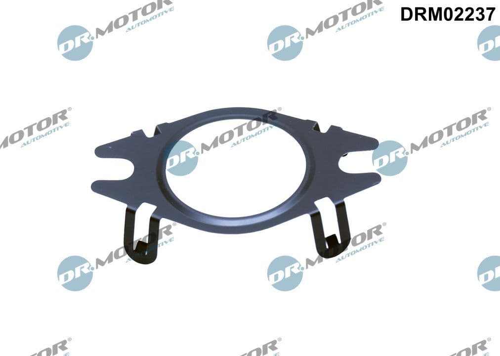 Blīve, EGR vārsta cauruļvads Dr.Motor Automotive DRM02237 1