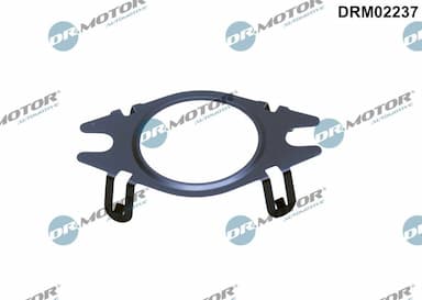 Blīve, EGR vārsta cauruļvads Dr.Motor Automotive DRM02237 1