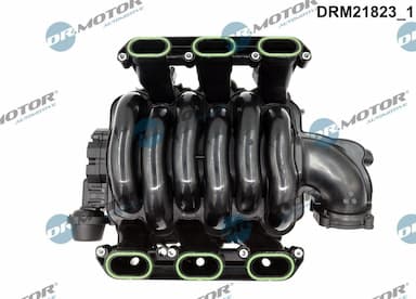 Ieplūdes caurules modulis Dr.Motor Automotive DRM21823 2