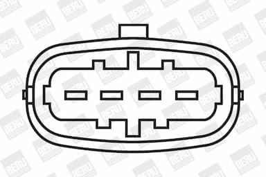 Aizdedzes spole BorgWarner (BERU) ZSE055 2