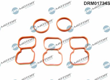 Blīve, Motora bloka galva Dr.Motor Automotive DRM01734S 1