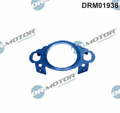 Blīve, EGR vārsta cauruļvads Dr.Motor Automotive DRM01938 1