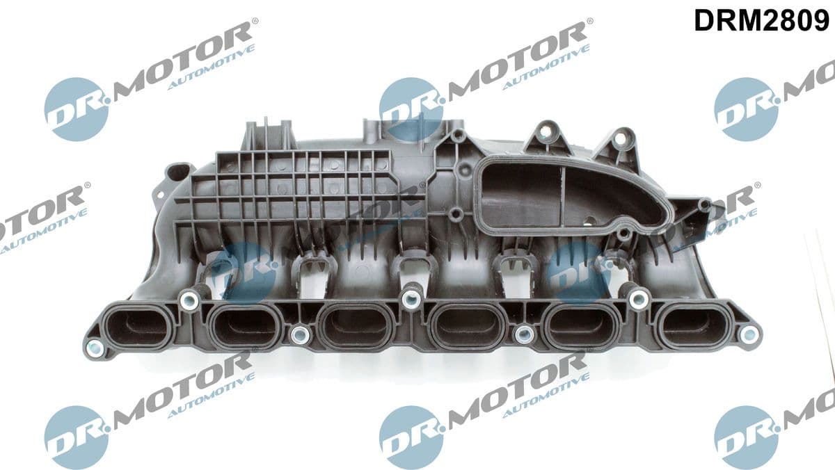 Ieplūdes caurules modulis Dr.Motor Automotive DRM2809 1