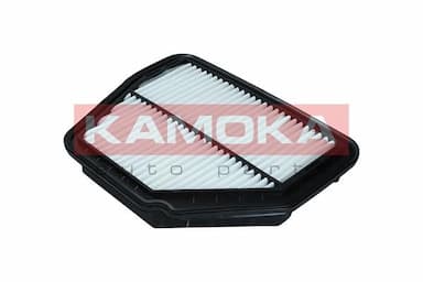 Gaisa filtrs KAMOKA F246101 1