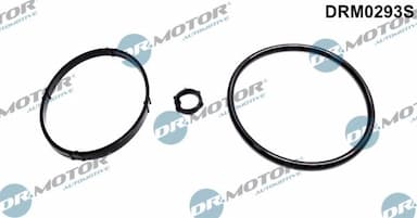 Blīvju komplekts, Eļļas radiators Dr.Motor Automotive DRM0293S 1