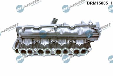 Ieplūdes caurules modulis Dr.Motor Automotive DRM15805 2