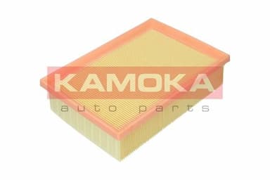 Gaisa filtrs KAMOKA F244001 4