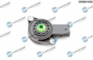 Devējs, Ieplūdes kolektora pārslēgšanas aizvars Dr.Motor Automotive DRM01009 1