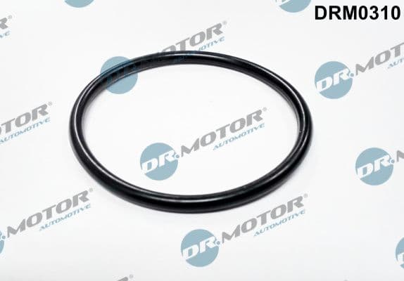 Blīve, Droseļvārsta īscaurule Dr.Motor Automotive DRM0310 1