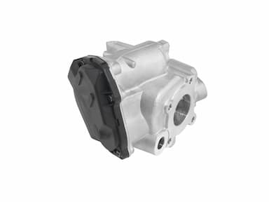 Izpl. gāzu recirkulācijas vārsts BorgWarner (Wahler) 712019D 2