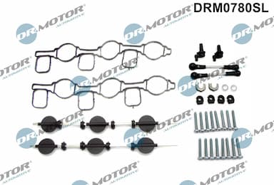 Remonta komplekts, ieplūdes kolektora modulis Dr.Motor Automotive DRM0780SL 1