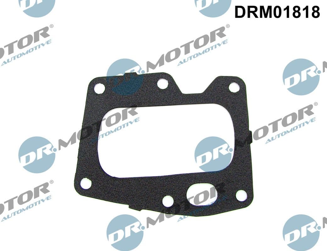 Blīve, Izplūdes gāzu recirkulācijas vārsts Dr.Motor Automotive DRM01818 1