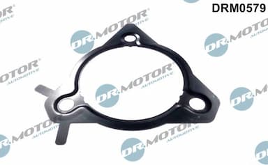 Blīve, Degvielas augstspiediena sūknis Dr.Motor Automotive DRM0579 1