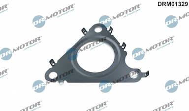 Blīve, Izplūdes gāzu recirkulācijas vārsts Dr.Motor Automotive DRM01329 1