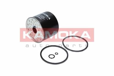 Degvielas filtrs KAMOKA F302001 1