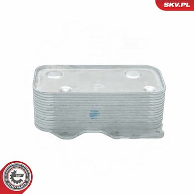 Eļļas radiators, Motoreļļa ESEN SKV 31SKV211 4