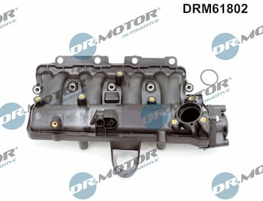 Ieplūdes caurules modulis Dr.Motor Automotive DRM61802 2