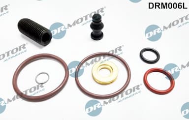 Remkomplekts, Sūknis-Sprausla Dr.Motor Automotive DRM006L 1