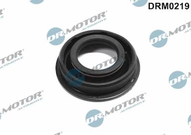 Blīve, Sprauslas korpuss Dr.Motor Automotive DRM0219 1