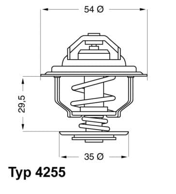 Termostats, Dzesēšanas šķidrums BorgWarner (Wahler) 4255.87D 1