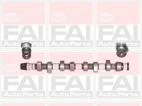 Sadales vārpsta FAI AutoParts C305 1