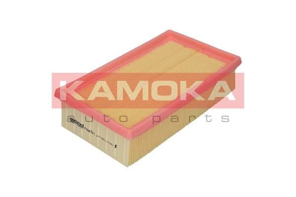 Gaisa filtrs KAMOKA F208501 1