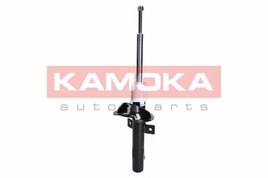 Amortizators KAMOKA 2000176 4