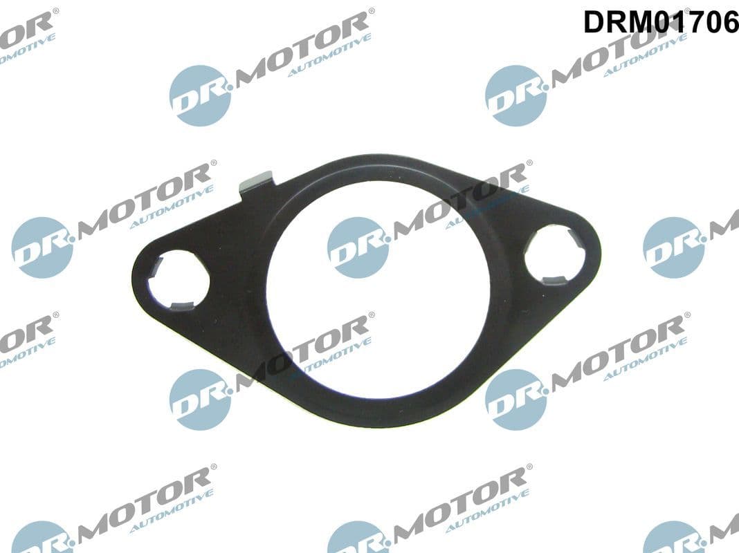 Blīve, Izplūdes gāzu recirkulācijas vārsts Dr.Motor Automotive DRM01706 1