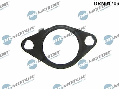 Blīve, Izplūdes gāzu recirkulācijas vārsts Dr.Motor Automotive DRM01706 1