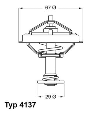 Termostats, Dzesēšanas šķidrums BorgWarner (Wahler) 4137.80D 1