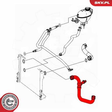 Radiatora cauruļvads ESEN SKV 43SKV624 4