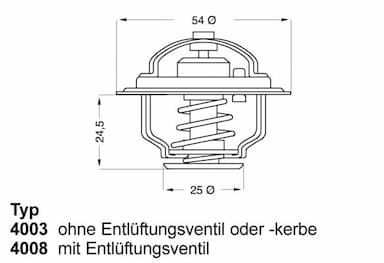 Termostats, Dzesēšanas šķidrums BorgWarner (Wahler) 4008.79D 1