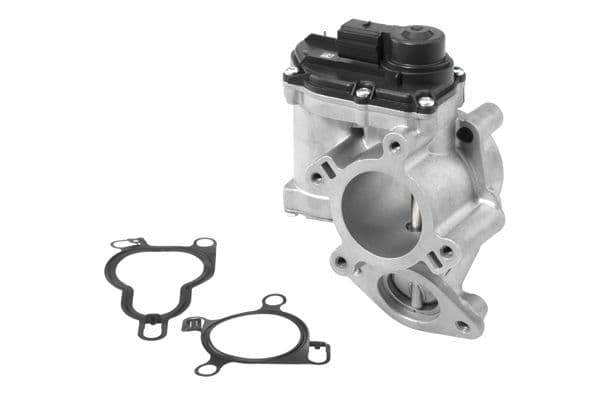 Izpl. gāzu recirkulācijas vārsts BorgWarner (Wahler) 710939R 1