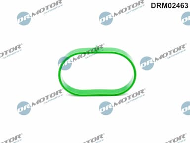 Blīve, Ieplūdes kolektors Dr.Motor Automotive DRM02463 1