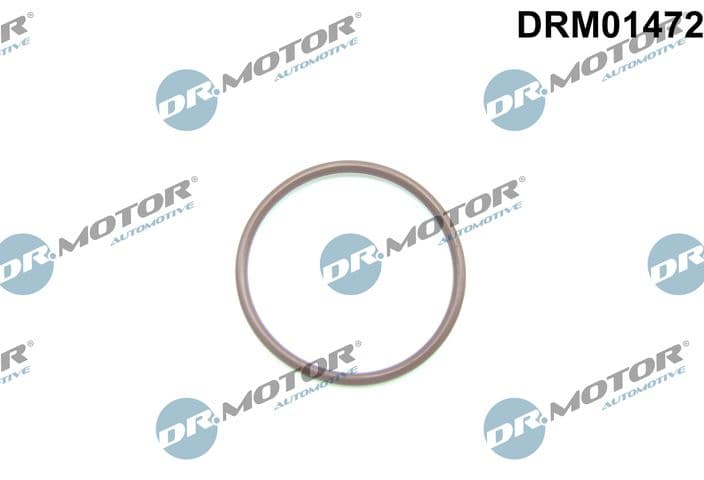 Blīve, Degvielas sūknis Dr.Motor Automotive DRM01472 1