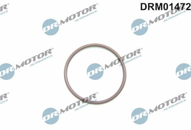 Blīve, Degvielas sūknis Dr.Motor Automotive DRM01472 1