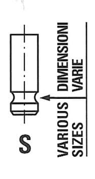 Ieplūdes vārsts FRECCIA R6169/SNT 1