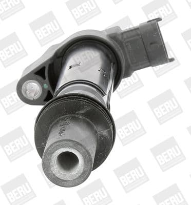 Aizdedzes spole BorgWarner (BERU) ZS557 2