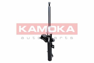 Amortizators KAMOKA 2000134 1